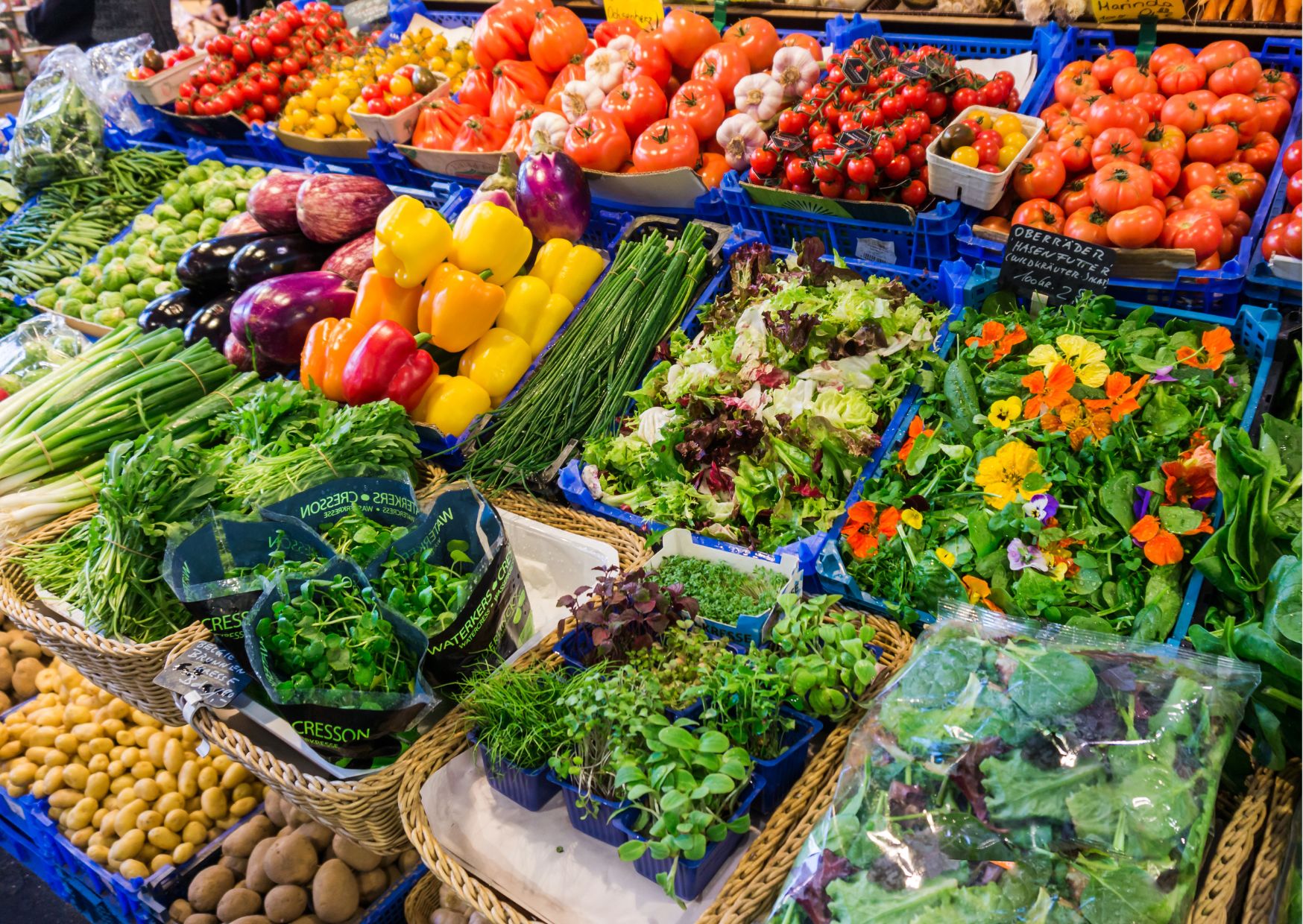 Preço da cesta básica recua em 15 capitais em maio, aponta Dieese